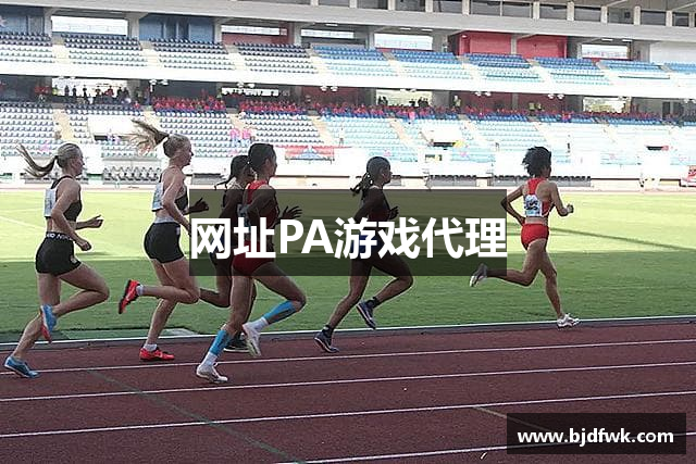 网址PA游戏代理